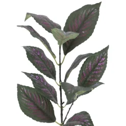 15" Perliapta Dyeriana Leaves Pick by Ashland®