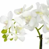 15" Phalaenopsis Arrangement in White Bowl Vase