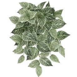23" Philodendron Birkin Hanging Bush by Ashland®