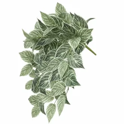 23" Philodendron Birkin Hanging Bush by Ashland®