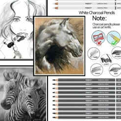 24-Piece Black & White Charcoal Drawing Set – Pencils for Sketching & Shading