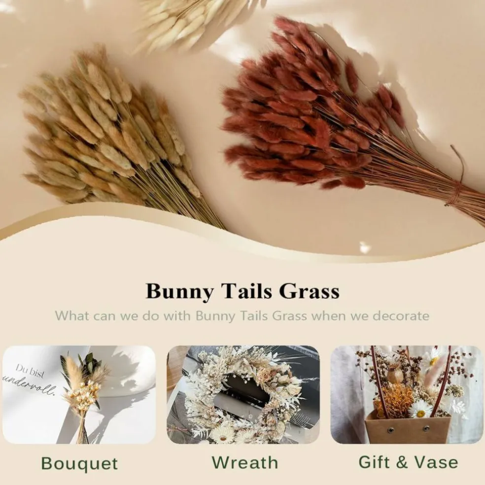 100 Piece Burnt Orange Bunny Tail Dried Flowers 17 Inch Natural Pampas Grass Stems Faux Floral Bouquet for Boho Home Decor Wedding Arrangement Vase Filler