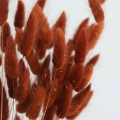 100 Piece Burnt Orange Bunny Tail Dried Flowers 17 Inch Natural Pampas Grass Stems Faux Floral Bouquet for Boho Home Decor Wedding Arrangement Vase Filler