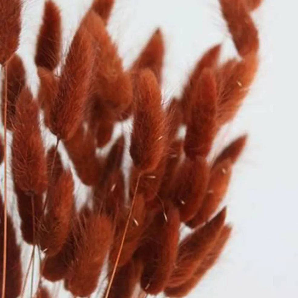 100 Piece Burnt Orange Bunny Tail Dried Flowers 17 Inch Natural Pampas Grass Stems Faux Floral Bouquet for Boho Home Decor Wedding Arrangement Vase Filler