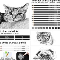 27-Piece Charcoal Drawing Set – Black & White Pencils with Graphite Sticks for Sketching & Shading