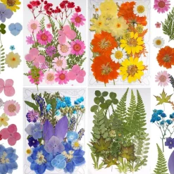 100-Piece Dried Pressed Flowers & Leaves Set for Crafts – Colorful Natural Flowers for Resin, Jewelry, Nail Art, Candle, Soap, Scrapbooking & DIY Projects – Tweezers Included