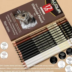 12-Piece Pro Colored Charcoal Set – Pastel Chalk Pencils for Sketching & Shading