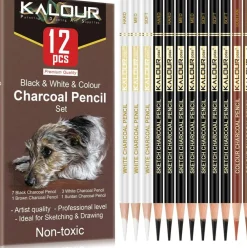 12-Piece Pro Colored Charcoal Set – Pastel Chalk Pencils for Sketching & Shading