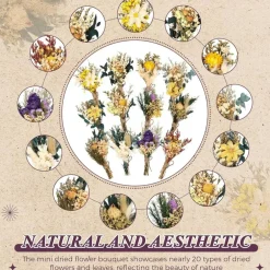 24-Pieces Mini Boho Dried Flower Bouquet for Wedding & DIY Decor
