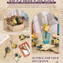 24-Pieces Mini Boho Dried Flower Bouquet for Wedding & DIY Decor
