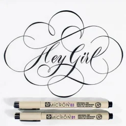 Pigma® Micron® Fine Line Black 6 Piece Pen Set