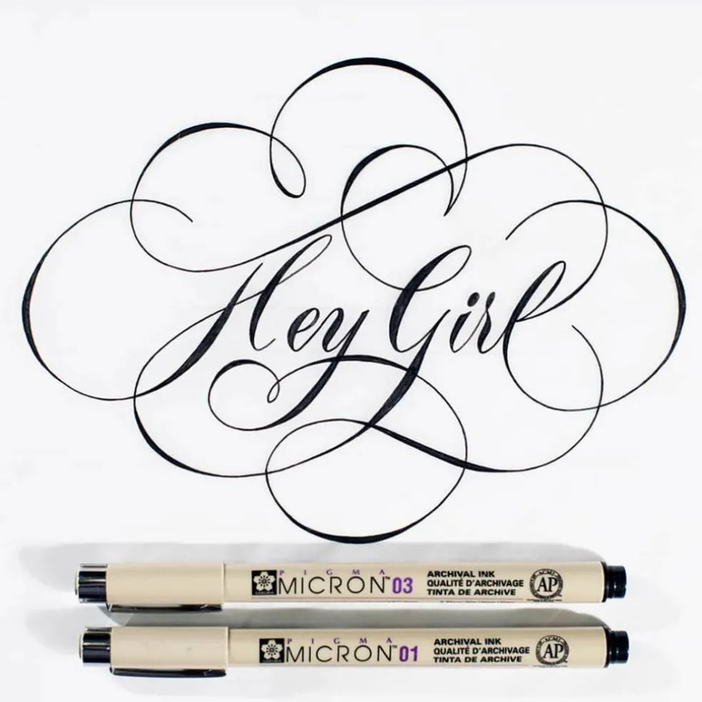Pigma® Micron® Fine Line Black 6 Piece Pen Set
