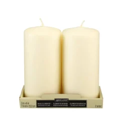 6" Pillar Candle Pair by Ashland®
