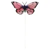 Pink Feather Butterflies, 6ct. by Ashland®