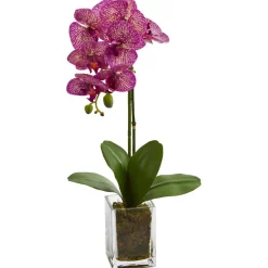 24" Pink Moth Orchid Arrangement in Vase