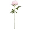 28.5" Pink Peony Stem by Ashland®