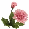 14" Pink Zinnia Bush from Ashland®