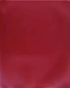 Plastic 2-Pocket Folders - Clear Overlay on Front and Back - Made in U.S.A