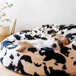 Poly-Fil® Biggie Bean Bag Filler, 16oz.
