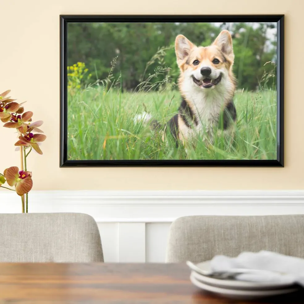 Poster Frame by Studio Décor®
