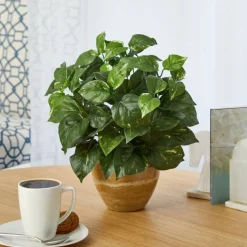 14" Pothos Plant in Ceramic Planter