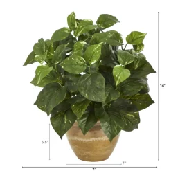 14" Pothos Plant in Ceramic Planter
