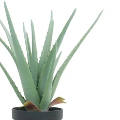 15" Potted Aloe Plant by Ashland®