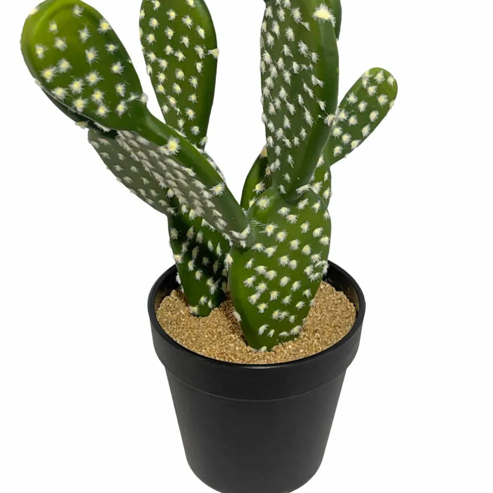 16" Potted Cactus Plant by Ashland®