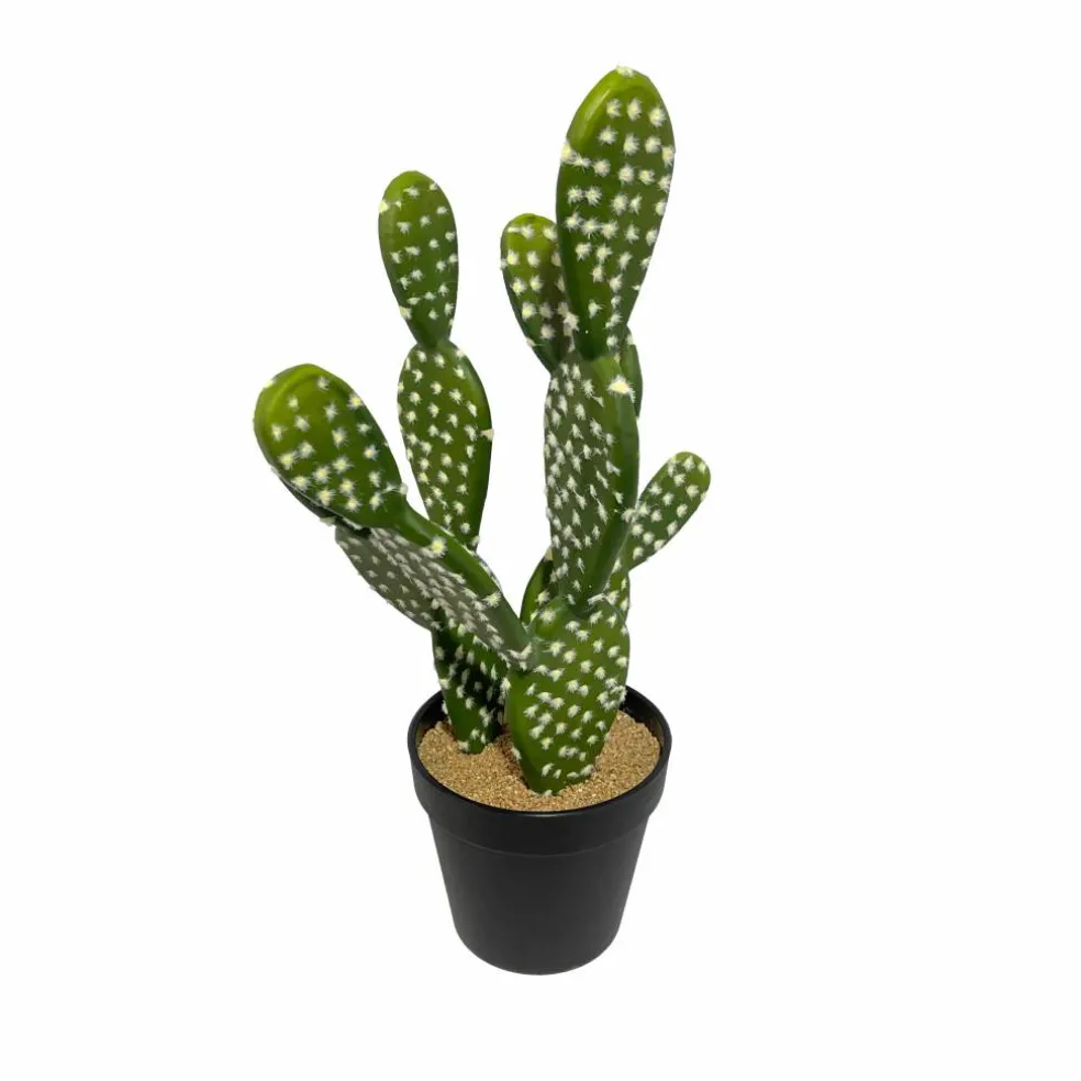 16" Potted Cactus Plant by Ashland®