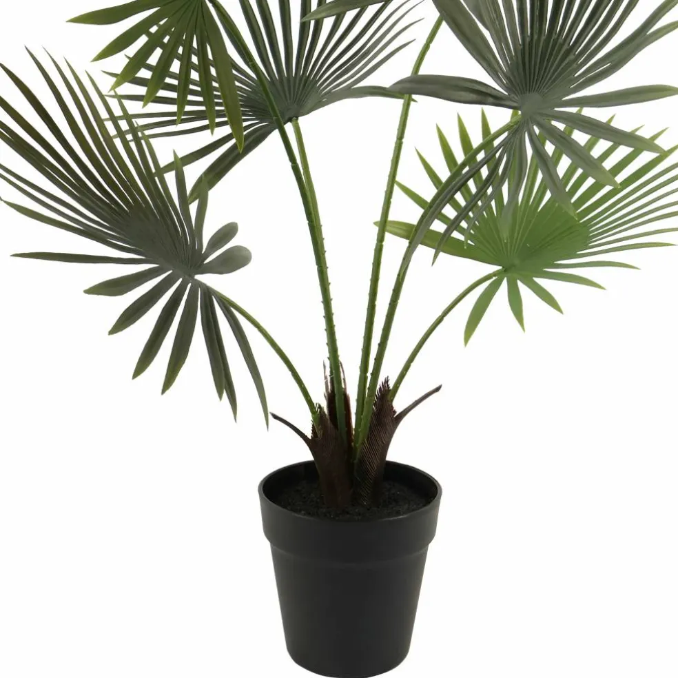 24" Potted Green Fan Palm Plant by Ashland®