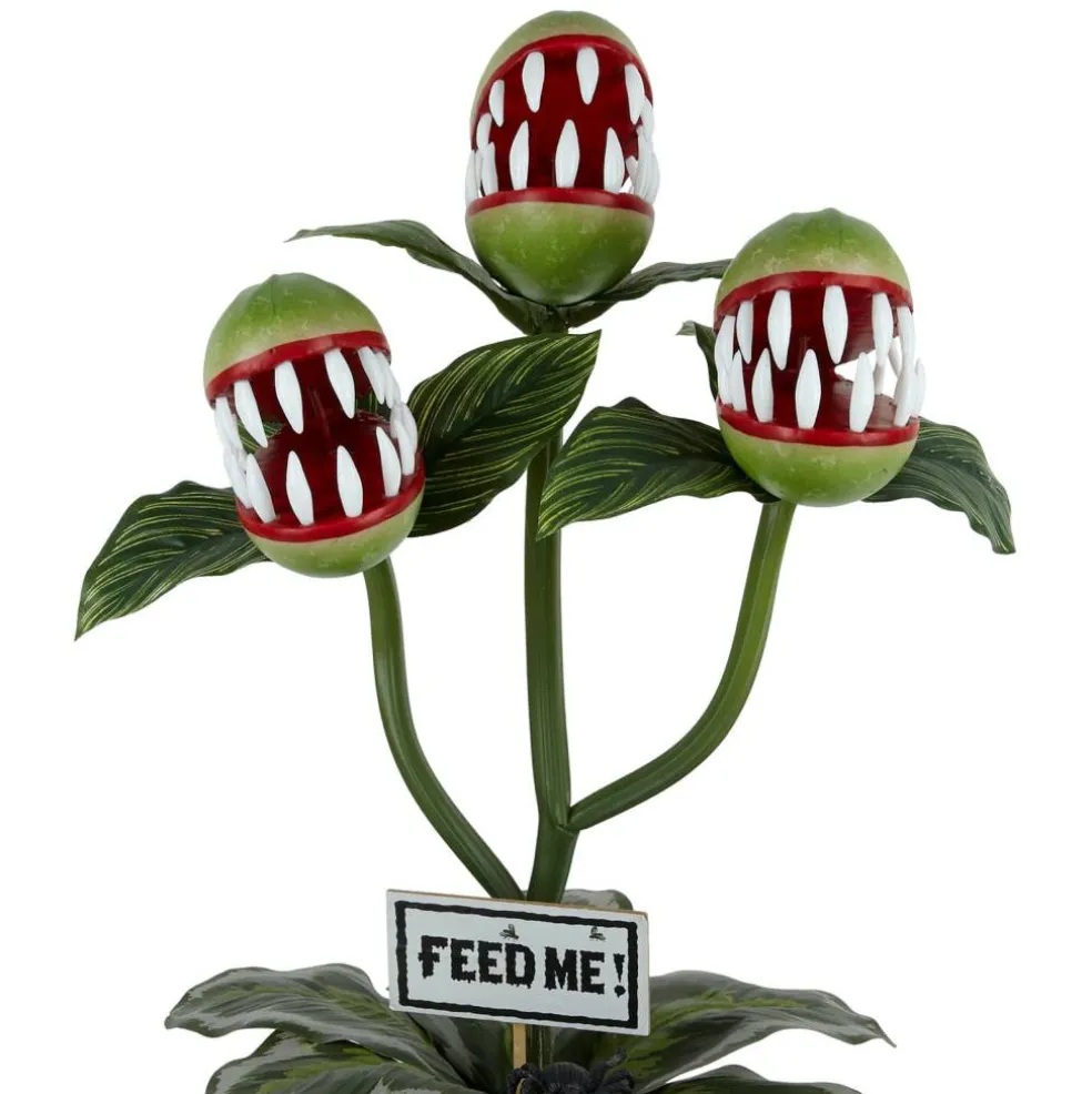 24" Potted Venus Flytrap Trio & Spider by Ashland®