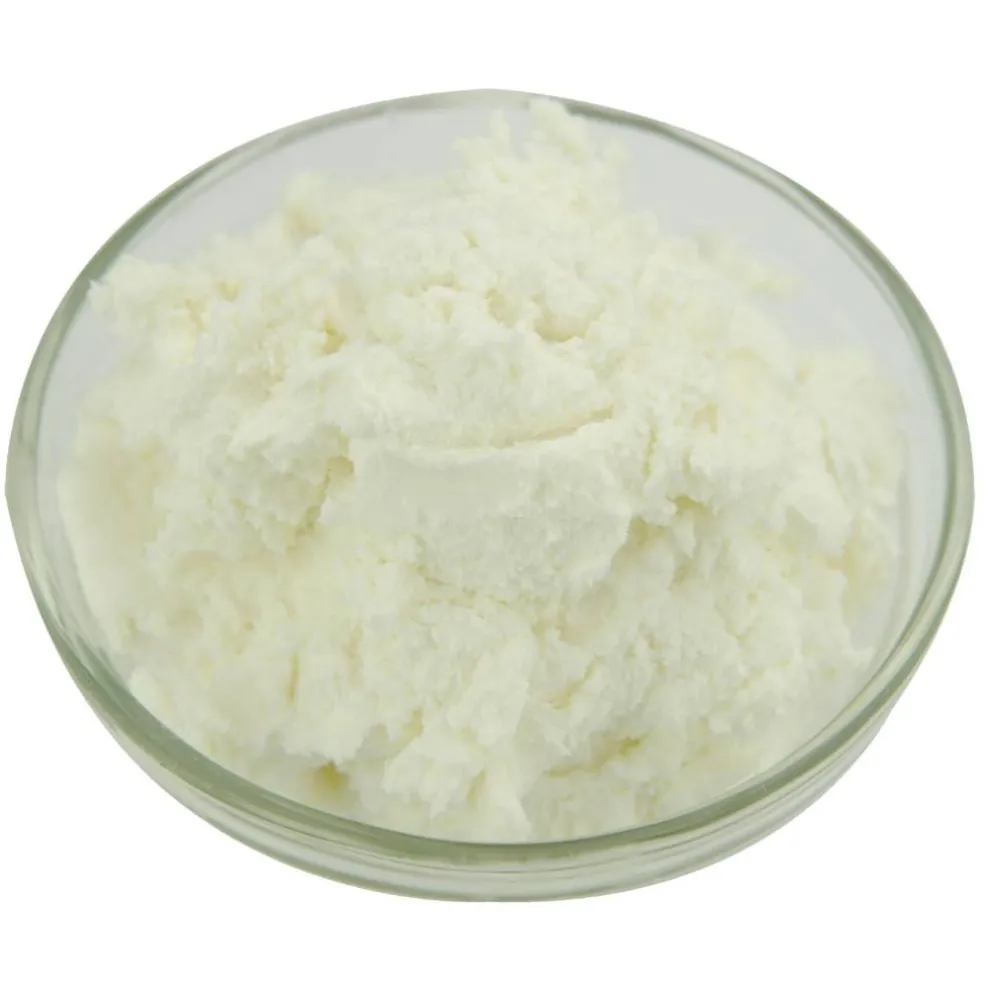 23 Pound Brill Vanilla Smooth and Light Buttercreme Icing 23 Per Case