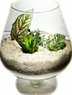 2 Pounds Natural Decorative Sand - Vase Filler