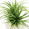 6.5" Premade Green Grass Faux Plant in White Ceramic Pot by Ashland®