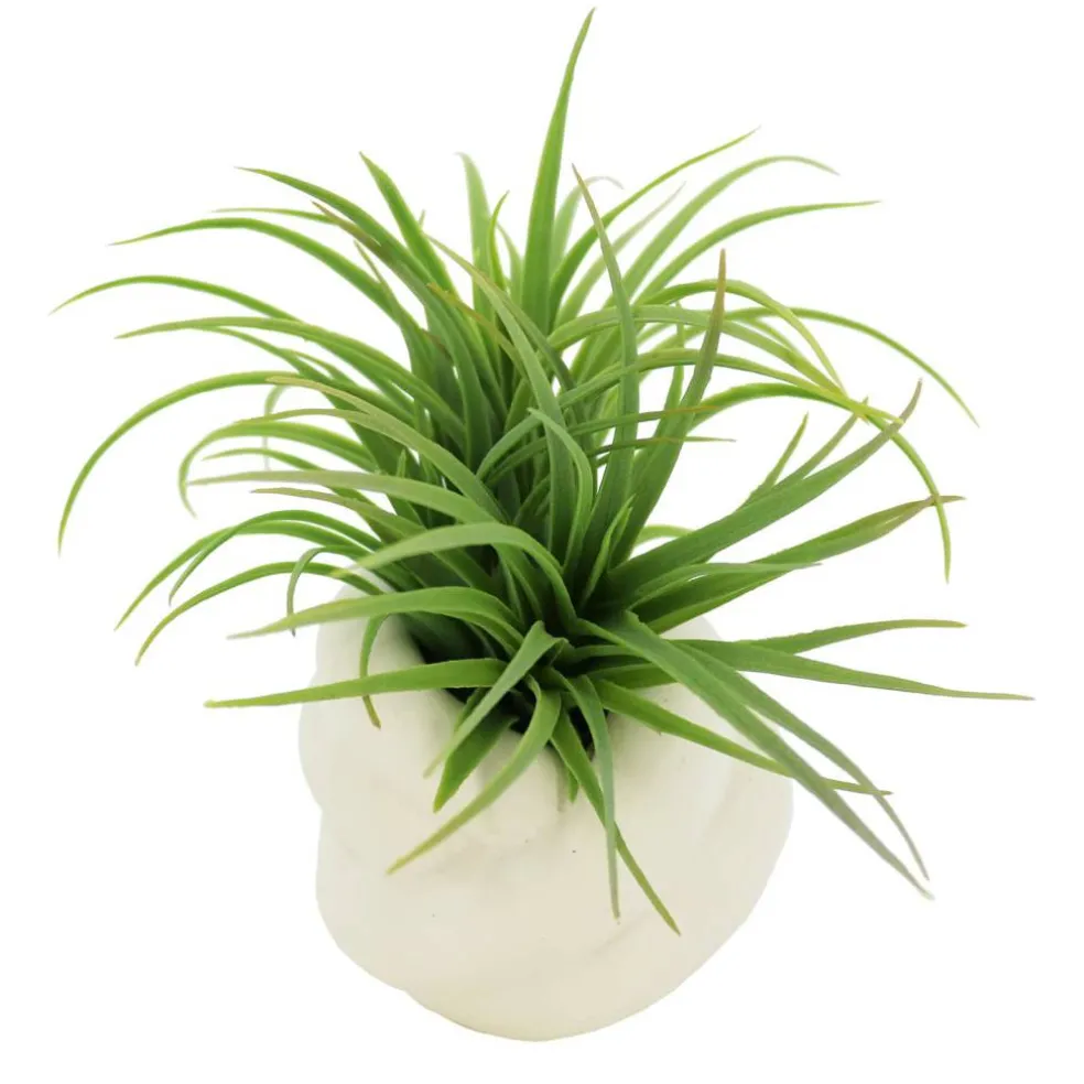 6.5" Premade Green Grass Faux Plant in White Ceramic Pot by Ashland®