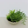 7" Premade Succulent Mix in Ceramic Ruffle Bowl by Ashland®
