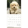 2027 Puppies Mini Calendar