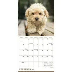 2027 Puppies Mini Calendar