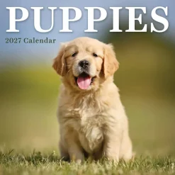 2027 Puppies Mini Calendar
