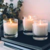 Pure Soy Wax 444 for Candle and Tart Making - 10 LB