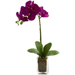 24" Purple Moth Orchid Arrangement in Vase