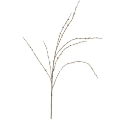Pussy Willow Stem by Ashland®