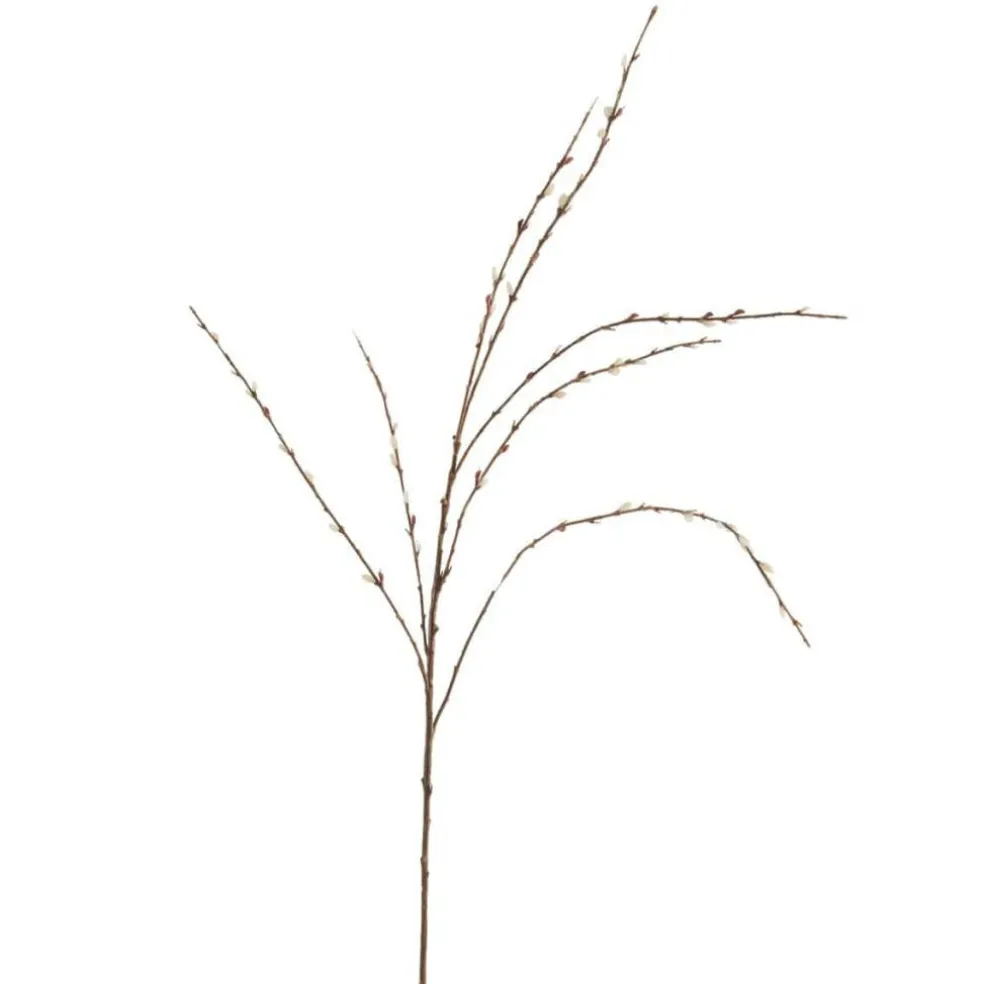 Pussy Willow Stem by Ashland®