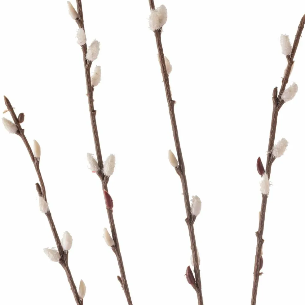 Pussy Willow Stem by Ashland®