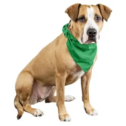 Qraftsy Plain Cotton Pets 5 Pcs Dogs Bandana Triangle Shape - Large Pets
