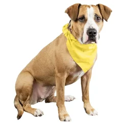 Qraftsy Plain Cotton Pets 5 Pcs Dogs Bandana Triangle Shape  - Large Pets