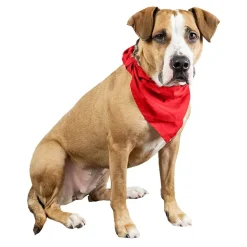 Qraftsy Plain Cotton Pets 5 Pcs Dogs Bandana Triangle Shape  - Large Pets