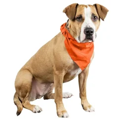 Qraftsy Plain Cotton Pets 5 Pcs Dogs Bandana Triangle Shape  - Large Pets