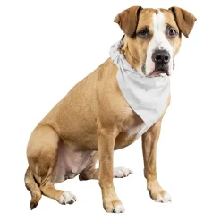 Qraftsy Plain Cotton Pets 5 Pcs Dogs Bandana Triangle Shape  - Large Pets