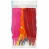 Quill Feather Mix by Creatology™